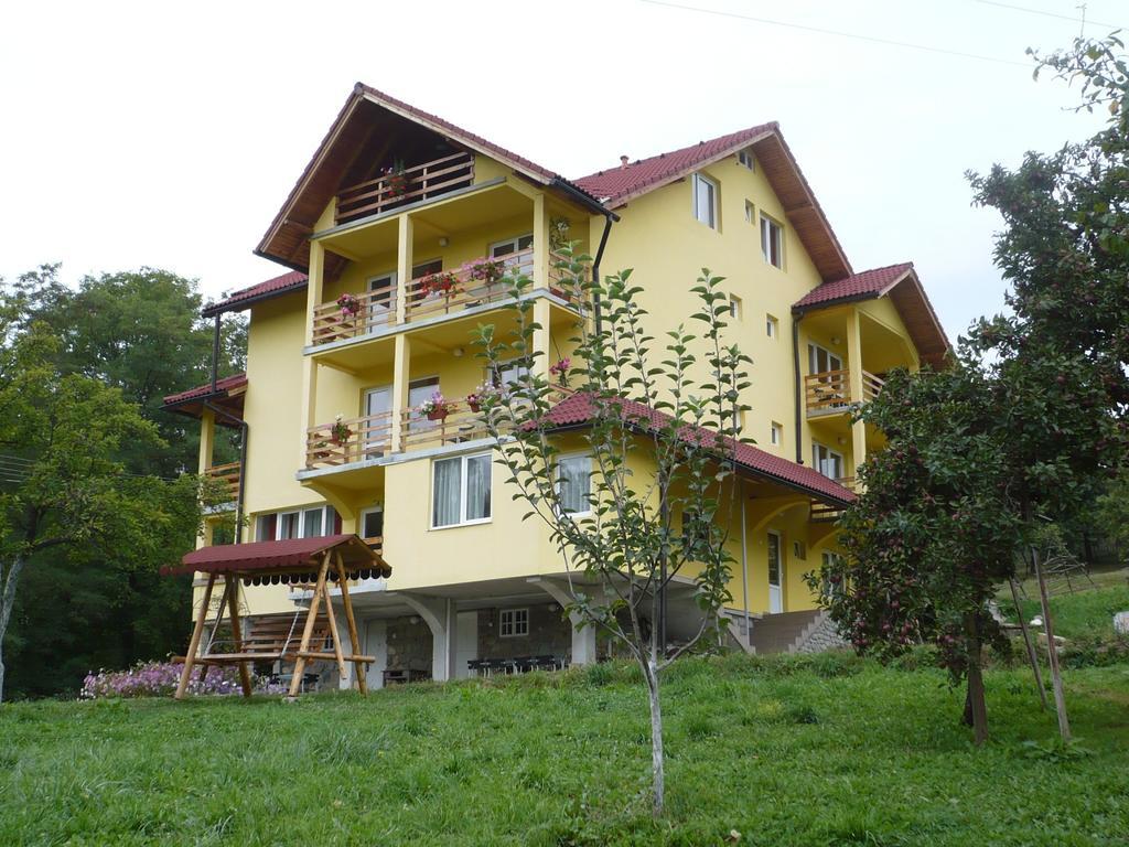 Pensiunea Tiuta Hotel กอร์เบนี ภายนอก รูปภาพ